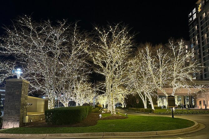 holiday-lights-private-night-bus-tour-of-washington-dc