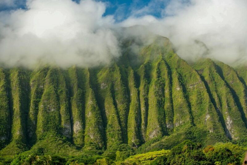 honolulu-3-hour-sunrise-photos-tour-with-malasadas