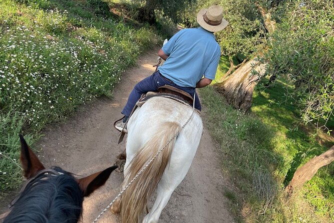 horse-riding-excursion