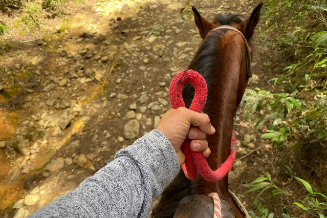 horseback-ride-around-medellins-beautiful-countryside