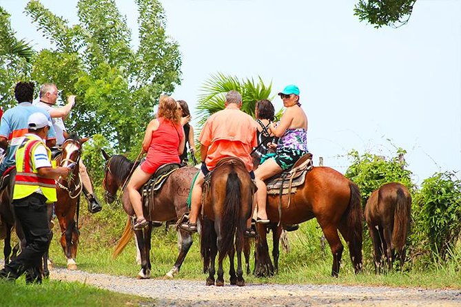 horseback-riding-beach-with-palapa-and-transfer