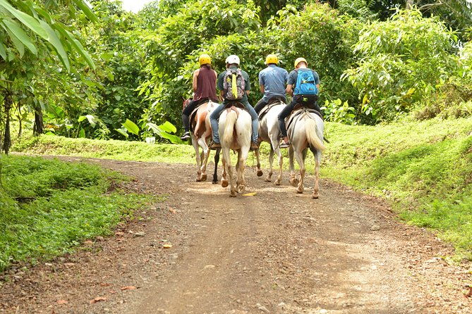 horseback-riding-jaco