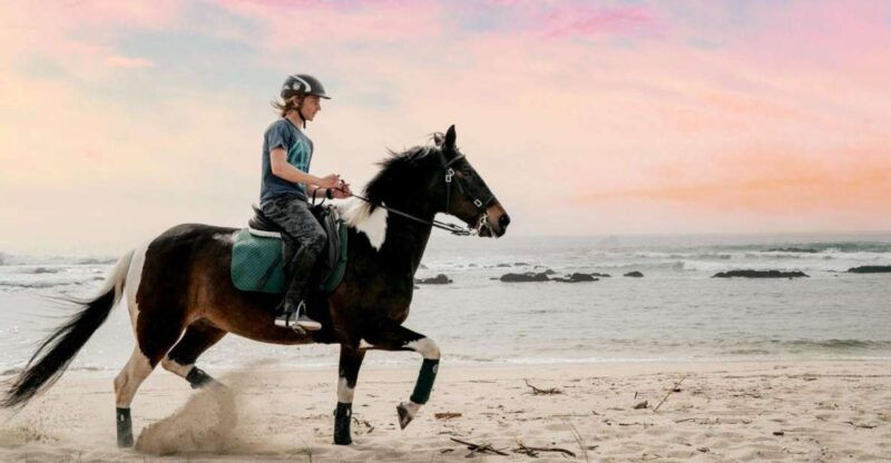 horseback-riding-tour-3