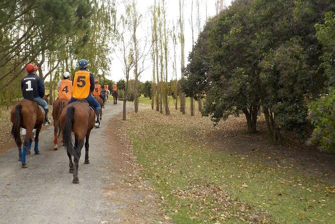 horseback-riding-tour-and-polo-in-argentine-countryside