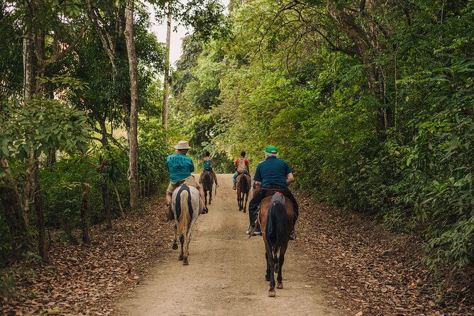 horseback-riding-tour-beach-and-ocean-view