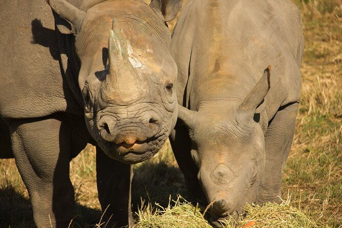 howletts-day-ticket