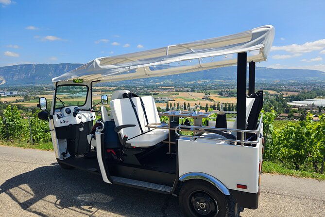 immersion-in-the-geneva-vineyards-by-tuktuk-with-tasting