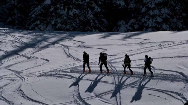 innsbruck-priv-guided-snowy-mountain-hike-snowshoes