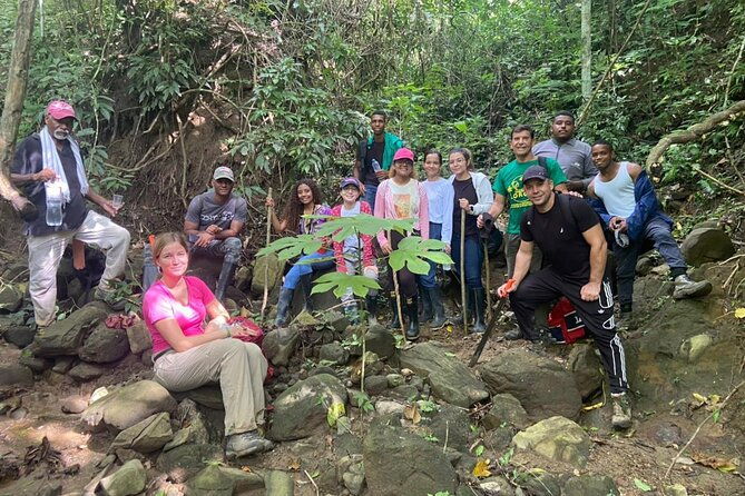 into-the-wild-a-volunteer-experience-with-monkey-reintroduction