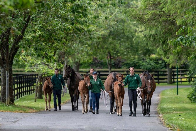 irish-national-stud-gardens-skip-the-line-entrance
