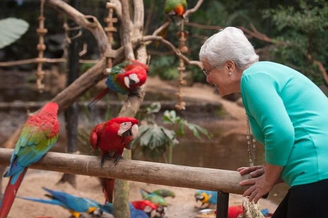 itaipu-dam-bird-park-iguassu-falls-brazilian-side-private-tour