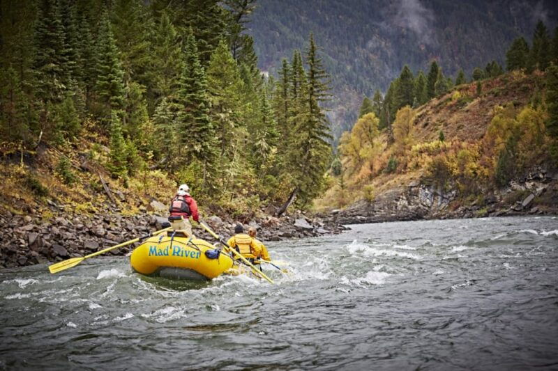 jackson-8-mile-classic-boat-whitewater-rafting-trip