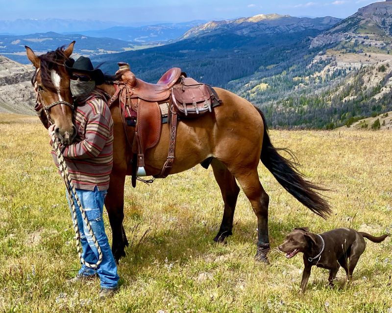 jackson-hole-bridger-teton-national-forest-horseback-ride