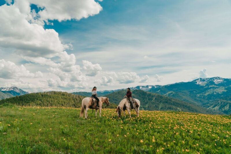 jackson-hole-moose-meadow-horseback-tour-with-breakfast
