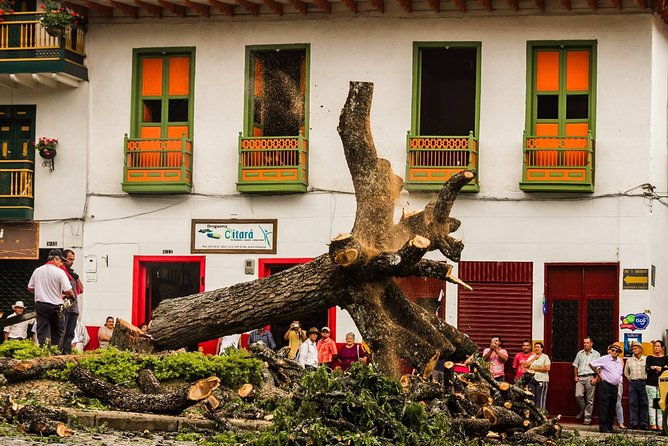 jardin-cultural-town-coffee-farm-experiences-day-tour