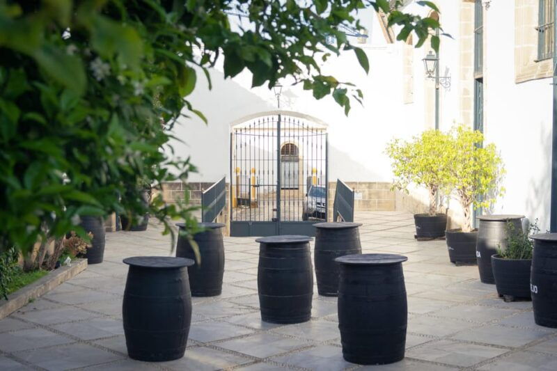 jerez-bodegas-alvaro-domecq-guided-tour-with-wine-tasting