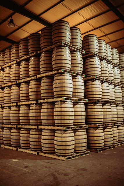jerez-tour-bodegas-paez-morilla-spanish-german