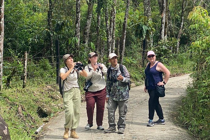 jungle-tour-bird-watching-and-local-fauna-from-guatape