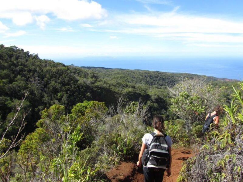 kauai-full-day-kaua%ca%bbi-adventure