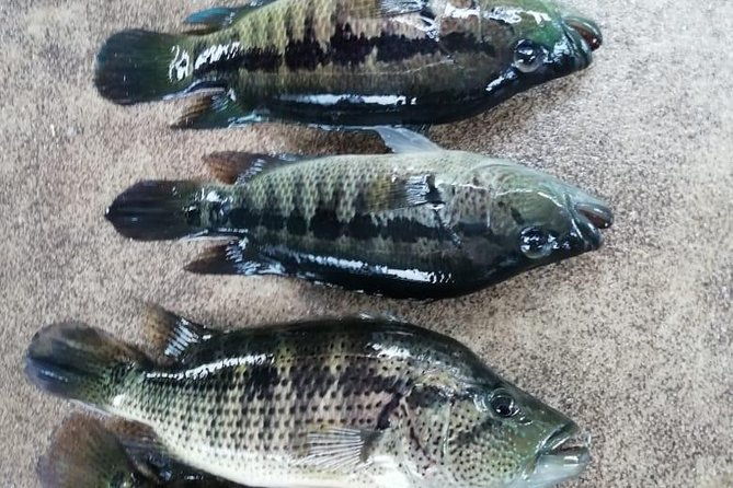 kayak-fishing-on-arenal-lake