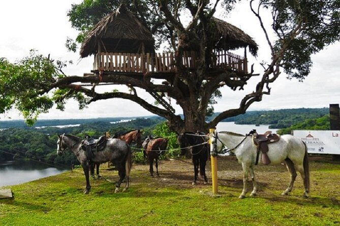 kayak-horseback-riding-in-the-jungle
