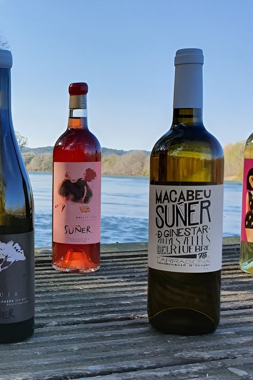 kayak-tour-and-wine-tasting-at-the-ebro-river