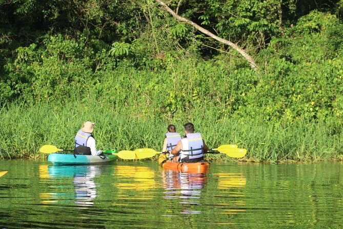 kayak-tour-in-tortuguero-canals-with-tourist-guide