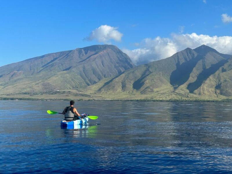 kayak-whale-watch-and-snorkel-at-turtle-town