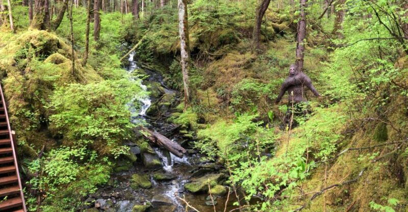 ketchikan-tongass-forest-alaska-bigfoot-atv-ride-and-hike