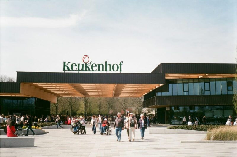 keukenhof-tulip-royalty-tour-with-exclusive-private-driver