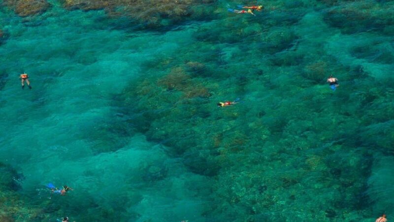 key-west-reef-snorkeling-with-drinks-and-sunset-option