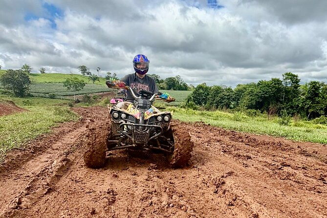 kids-4-wheels-pineapple-farm-espectacular