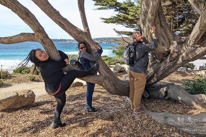 la-jolla-jig-scavenger-hunt