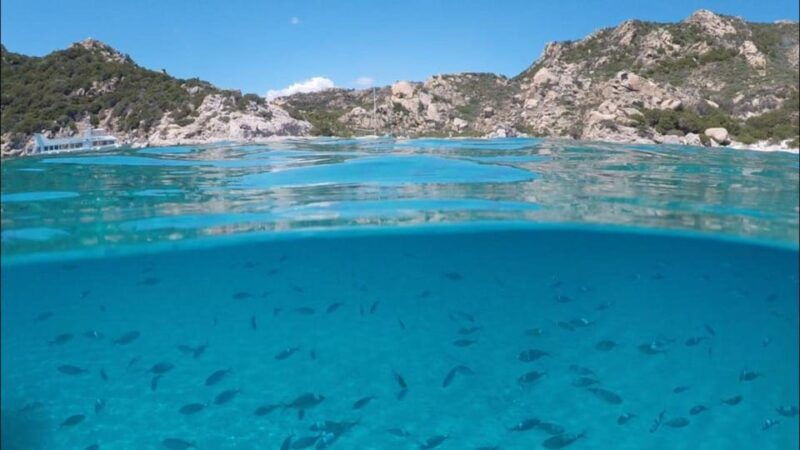 la-maddalena-archipelago-sailing-tour-among-the-islands