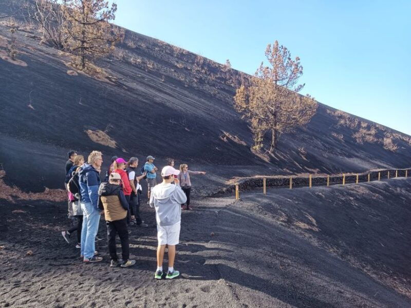 la-palma-tajogaite-volcano-guided-hike