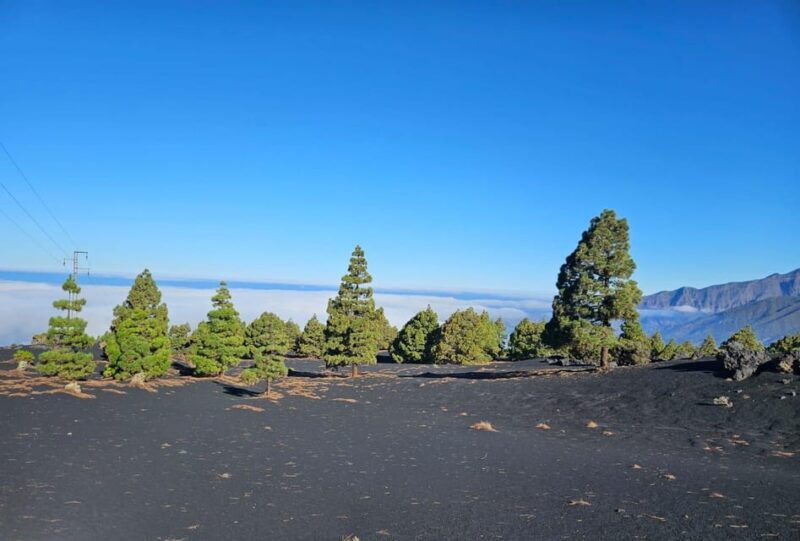 la-palma-tour-to-the-new-tajogaite-volcano-360o