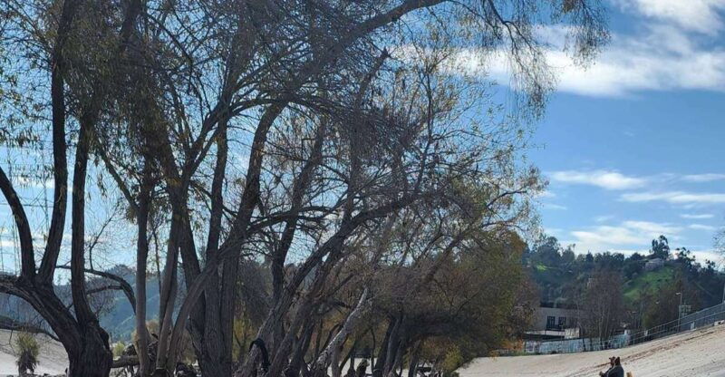 la-river-eco-tour-and-secret-stair-hike-3
