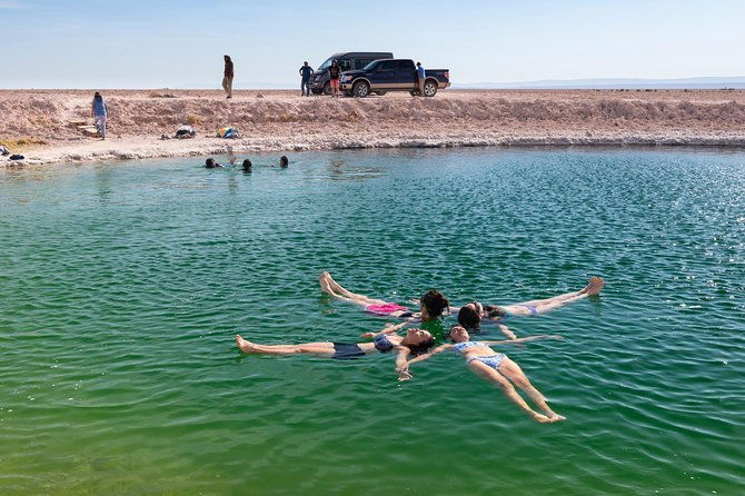 lagoons-in-atacama-salt-flat-half-day-typical-tour-san-pedro-de-atacama