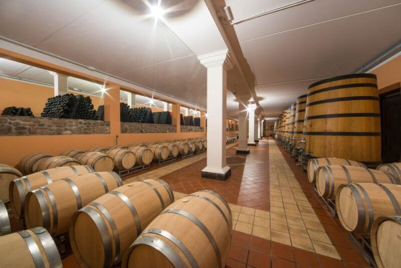 lake-garda-garda-hills-wine-tour-and-tasting
