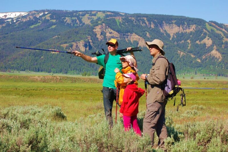 lamar-valley-safari-hiking-tour-with-lunch