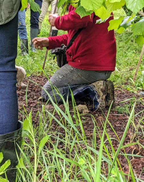 langhe-truffle-hunt-and-wine-tasting-in-a-cellar