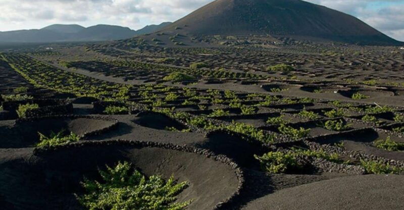 lanzarote-full-day-bus-tour-with-scenic-views
