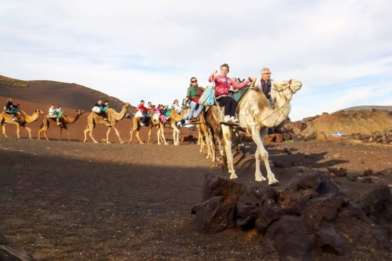 lanzarote-timanfaya-park-and-jameos-del-agua-full-day-tour
