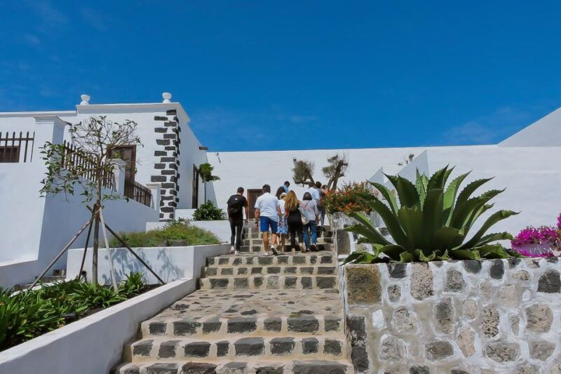 lanzarote-vineyard-tour-with-wine-and-chocolate-tasting