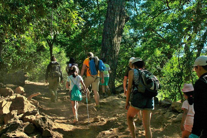las-animas-waterfall-tour