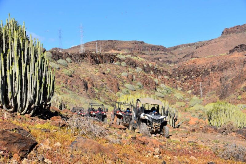 las-palmas-gran-canaria-guided-buggy-tour