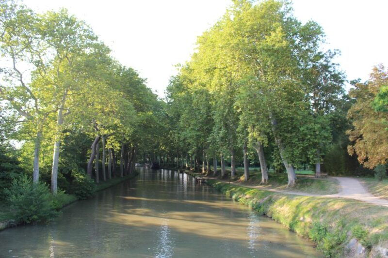 lastours-vineyard-minerve-canal-du-midi-from-carcassonne