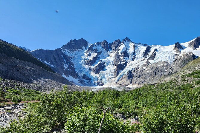 laughton-glacier-hike-and-white-pass-rail-adventure
