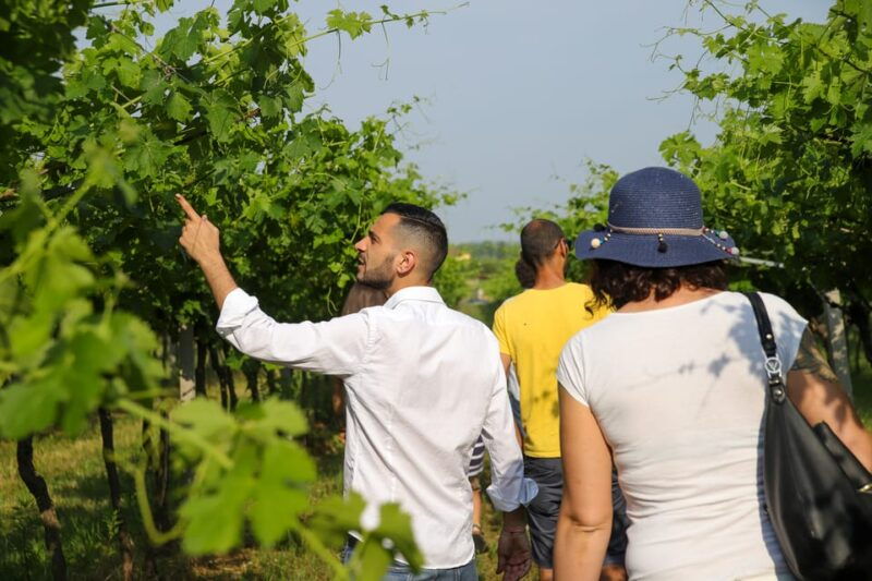 lazise-biodynamic-farm-tour-and-natural-wine-tasting
