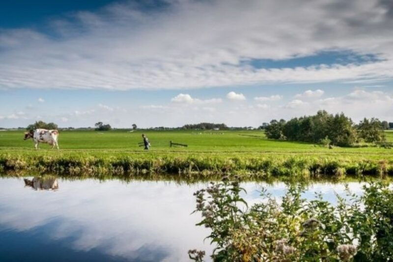 leiden-windmill-and-countryside-cruise-near-keukenhof